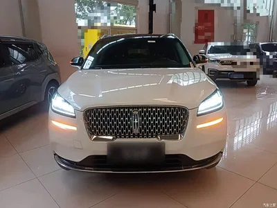 2020 Lincoln Adventurer 2.0T 2WD Premium Enjoyment Edition, фото 3, лот 10838121