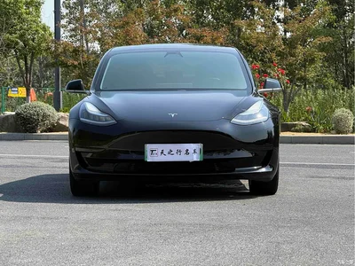 2020 Tesla Model 3 Standard Range Rear-Wheel Drive Upgrade, фото 2, лот 10401294