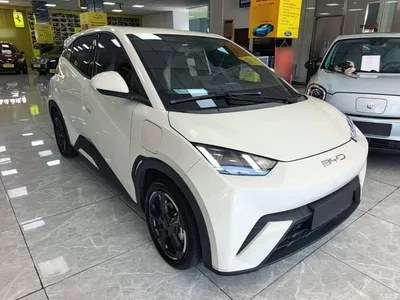 2023 BYD Seagull Freedom Edition, фото 4, лот 10323683