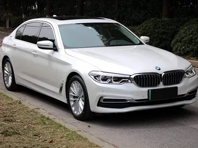 2019 BMW 5 Series New Energy Facelift 530Le Luxury Package, фото 3, лот 10473913