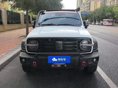 2021 Tank 300 Off-road Version 2.0T Conqueror, фото 2, лот 11204161