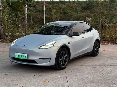 2023 Tesla Model Y Long Range All-Wheel Drive Edition, фото 1, лот 10906942