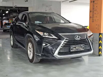 2016 Lexus RX 300 2WD Elite Edition (China V), фото 3, лот 11018033