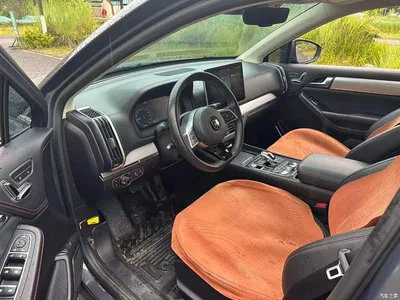 2018 BYD Tang New Energy DM 2.0T AWD Smart Connection Enjoy Edition 7-Seater China V, фото 4, лот 10398104