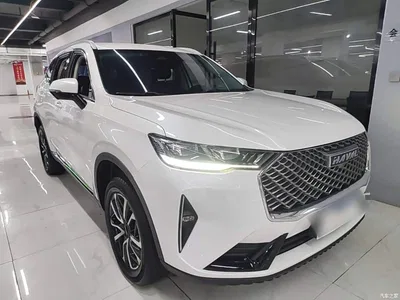 2021 Haval H6 3rd Generation 1.5T Auto 2WD Max, фото 4, лот 10481506