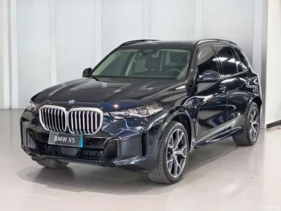 2023 BMW X5 xDrive 30Li Premium M Sport Black Night Package, фото 1, лот 10462877