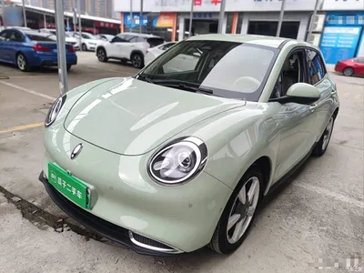 2023 Ora Good Cat 401km Standard Range Luxury LFP, фото 2, лот 11192485