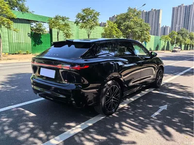 2025 Voyah Auto Voyah Zhiyin Base, фото 4, лот 11164863