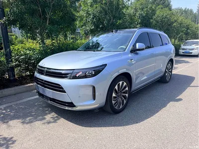 2024 AITO Wenjie AITO M7 1.5T Smart AWD Max Edition 5-Seater, фото 1, лот 10435205