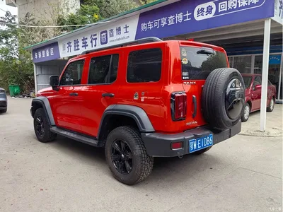 2021 Tank 300 Off-road Version 2.0T Conqueror, фото 4, лот 10594081