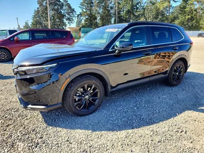 2024 HONDA CR-V SPORT-L, фото 1, лот 10723087