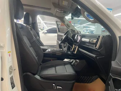 2021 Haval Big Dog 2.0T DCT AWD Howling Celestial Dog Edition, фото 3, лот 10632752