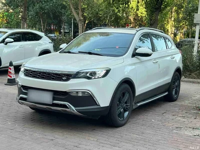 2017 Leopaard CS10 Model 2.0T Automatic Leading Edition, фото 1, лот 11642843