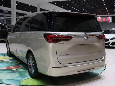 2021 Buick GL8 ES Landlord 653T Comfort, фото 4, лот 10252830