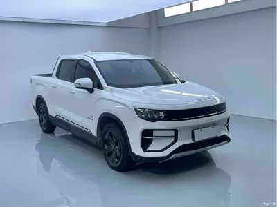 2023 Geely Radar Radar Horizon Model 410km Entrepreneur Edition, фото 1, лот 11204872