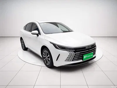 2024 BYD Destroyer 05 Glory Edition DM-i 55KM Luxury, фото 3, лот 10893618