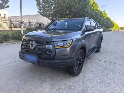 2023 Great Wall Pao 2.0T Off-Road Edition Automatic Diesel 4WD Everest Edition, фото 2, лот 10334502