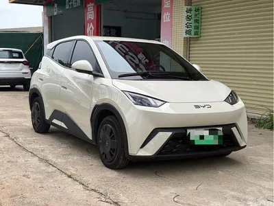 2024 BYD Seagull Glory Edition 305km Vitality Edition, фото 3, лот 10257690