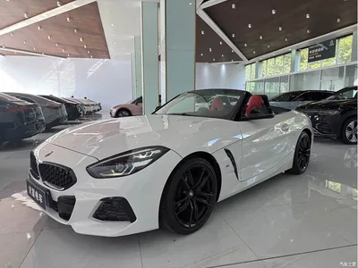 2019 BMW Z4 sDrive 25i M Sport Shadow Edition, фото 2, лот 10477646