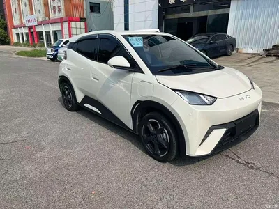 2024 BYD Seagull Glory Edition 305km Vitality Edition, фото 3, лот 10255785
