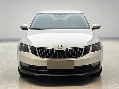 2019 Škoda Octavia TSI230 DSG Comfort Edition, фото 2, лот 11583036