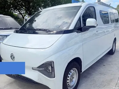 2025 Dongfeng Ruilida V8E Model Bright Window Edition, фото 3, лот 11161108