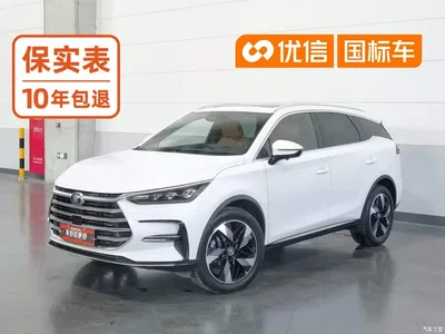 2023 BYD Tang New Energy Model DM-i Champion Edition 112KM Premium, фото 1, лот 10274115