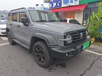 2021 Tank 300 Off-road Version 2.0T Conqueror, фото 4, лот 11137593