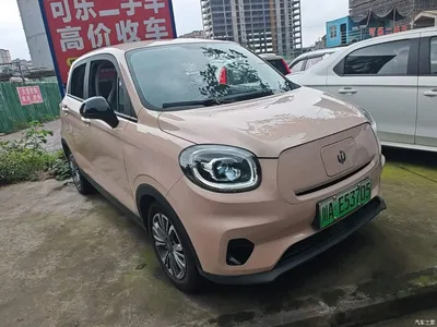 2021 Leapmotor T03 400 Micro Sugar Edition, фото 4, лот 10442492