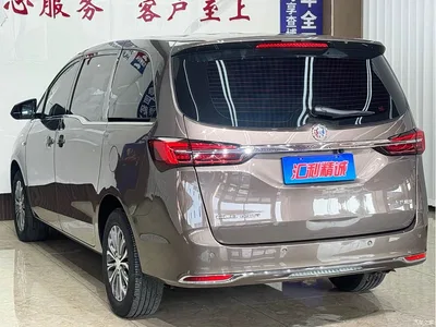 2022 Buick GL8 Land Business Class 652T Comfort, фото 4, лот 11003143
