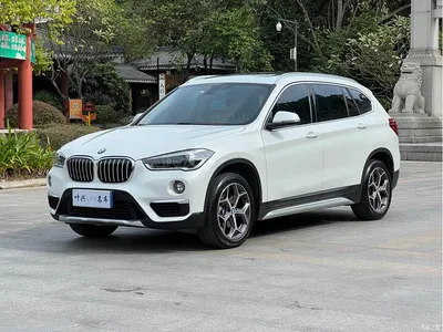2019 BMW X1 sDrive18Li Premium Model, фото 1, лот 10232262