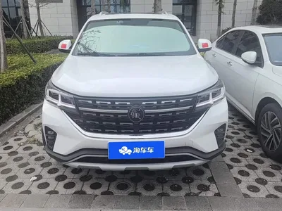 2020 Dongfeng Fengxing T5L Facelift 1.5T Automatic Luxury Edition 7-Seater, фото 2, лот 11249857