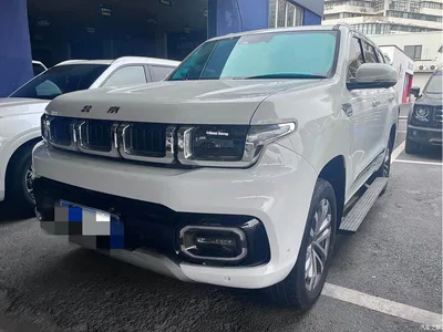 2022 BAIC ORV Beijing Off-Road BJ60 2.0T National Day Edition 7-Seater, фото 1, лот 10827687