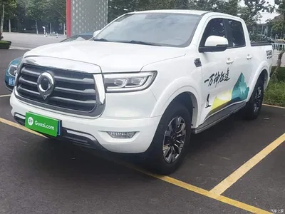 2021 Great Wall Pao 2.0T Passenger Global Edition Automatic Diesel 2WD Comfort Standard Box GW4D20M, фото 1, лот 10248837