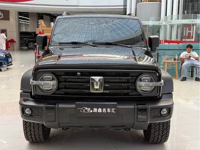 2023 Tank 300 Off-Road Edition 2.0T Challenger, фото 2, лот 10345106
