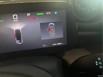 2025 BYD Dolphin Smart Drive Edition 420km Freedom Version, фото 3, лот 10253403