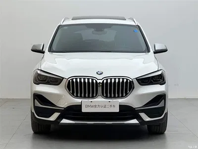 2021 BMW X1 xDrive25Li Exclusive, фото 2, лот 11132727