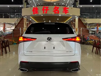 2017 Lexus NX 300 AWD Sharp Style Edition, фото 4, лот 10314696