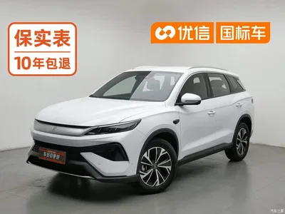 2025 BYD Song Pro New Energy 2nd Generation Smart Drive Edition DM-i 75KM Leading Type, фото 1, лот 10275099