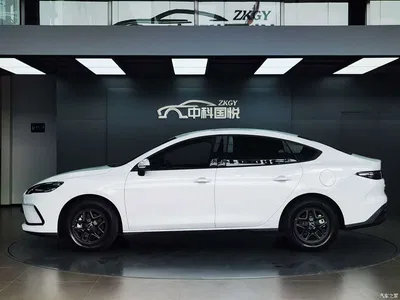 2025 BYD Hai Bao 05 DM-i DM-i Smart Drive Edition 55KM Luxury, фото 2, лот 10274050