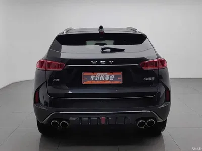 2018 WEY P8 2.0T Flagship Model, фото 4, лот 11538881
