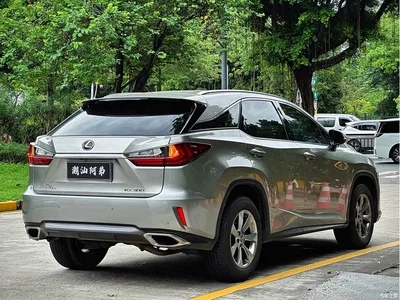 2016 Lexus RX 300 2WD Elite Edition (China V), фото 2, лот 10313689