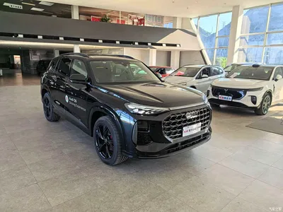 2025 Audi Q6 45 TFSI quattro Dark Warrior Edition Feiqi Package 6-Seater, фото 3, лот 11605151