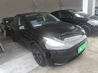 2023 Tesla Model Y Rear-Wheel Drive Edition, фото 4, лот 10593088