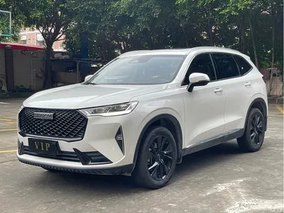2021 Haval H6 3rd Generation 2.0T Auto AWD Max, фото 1, лот 10297946
