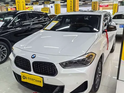2023 BMW X2 sDrive25i M Sport Shadow Edition, фото 1, лот 10430924