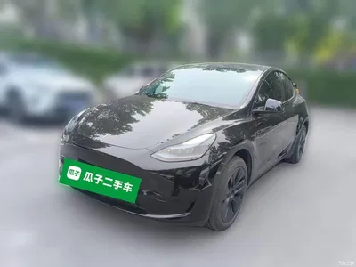 2023 Tesla Model Y Rear-Wheel Drive Edition, фото 1, лот 11140985