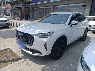 2021 Haval H6 3rd Generation 2.0T Auto AWD Max, фото 1, лот 10285451