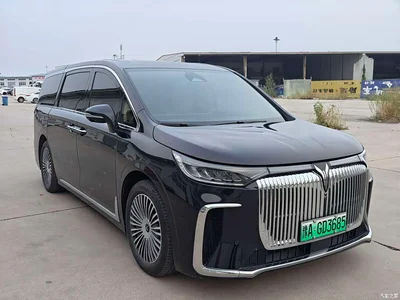 2025 Voyah Auto Voyah Dreamer PHEV AWD Excellent Kunpeng Edition, фото 3, лот 11199631