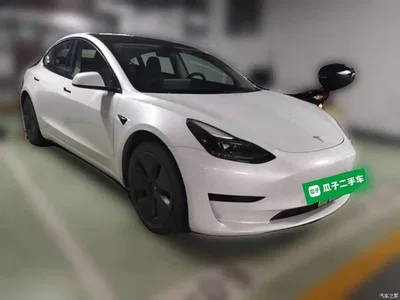 2021 Tesla Model 3 Facelift Standard Range RWD Upgrade 3D1, фото 3, лот 10768557